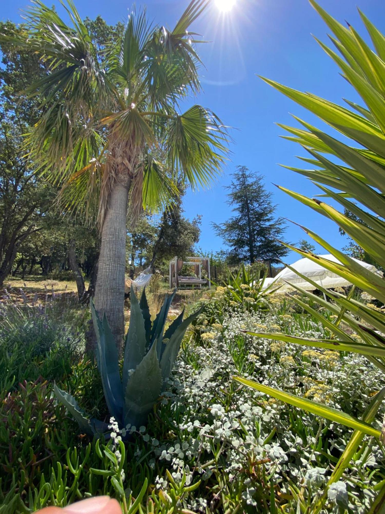 Villa Alba En Provence Besse-sur-Issole Bagian luar foto
